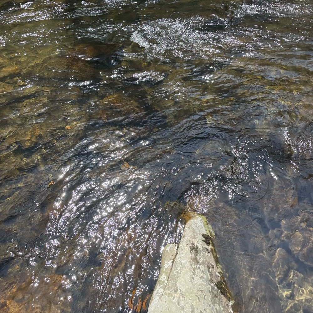 Meet your Posher, Tessa